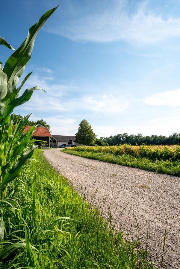 Ferienwohnung Bichler Altötting Zewnętrze zdjęcie